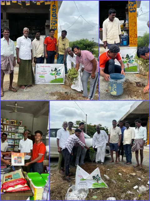 Tree Plantation 2024 – Lead Crop Science