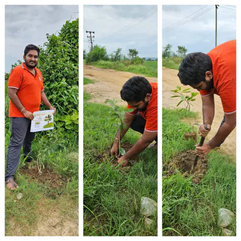 Tree Plantation 2024 – Lead Crop Science