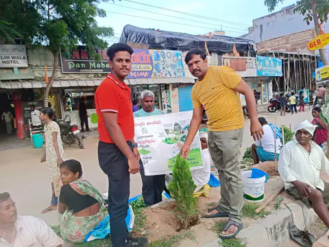 Tree Plantation 2024 – Lead Crop Science