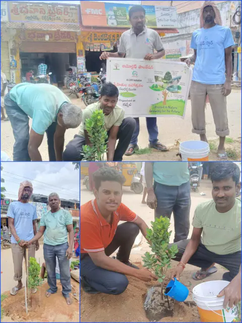 Tree Plantation 2024 – Lead Crop Science