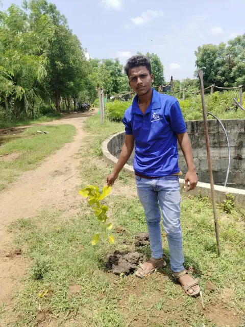 Tree Plantation 2024 – Lead Crop Science