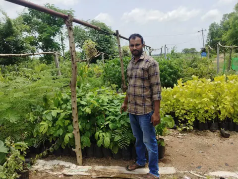 Tree Plantation 2024 – Lead Crop Science