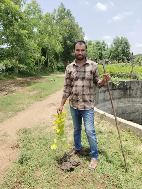 Tree Plantation 2024 – Lead Crop Science