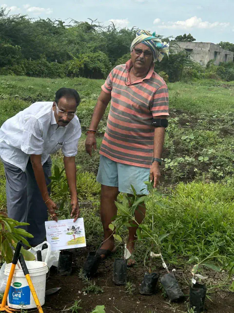 Tree Plantation 2024 – Lead Crop Science