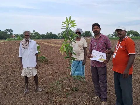 Tree Plantation 2024 – Lead Crop Science