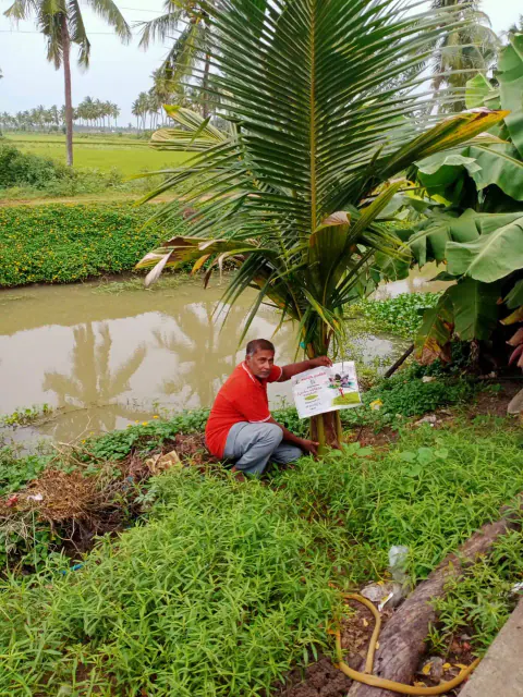 Tree Plantation 2024 – Lead Crop Science