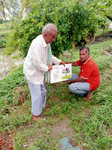 Tree Plantation 2024 – Lead Crop Science