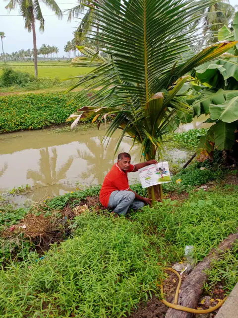 Tree Plantation 2024 – Lead Crop Science