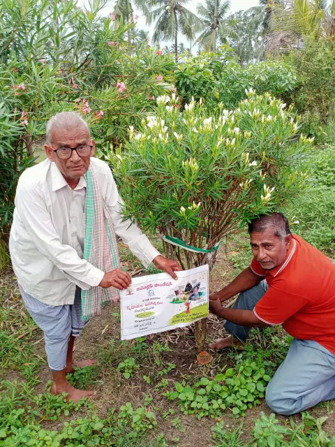 Tree Plantation 2024 – Lead Crop Science
