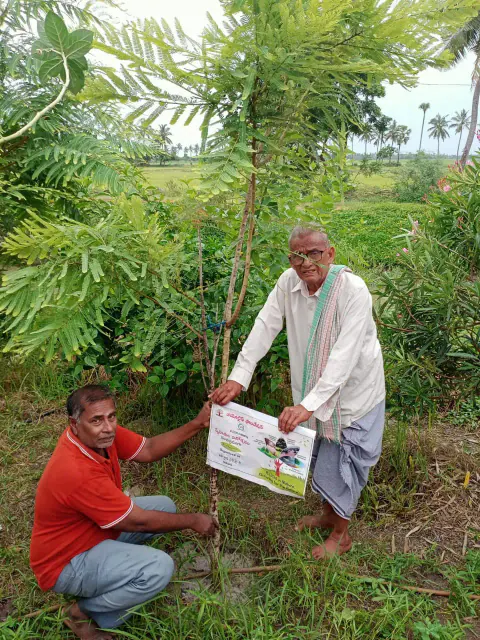 Tree Plantation 2024 – Lead Crop Science