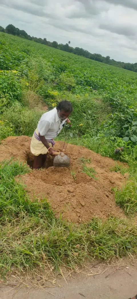Tree Plantation 2024 – Lead Crop Science