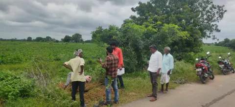 Tree Plantation 2024 – Lead Crop Science