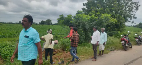 Tree Plantation 2024 – Lead Crop Science
