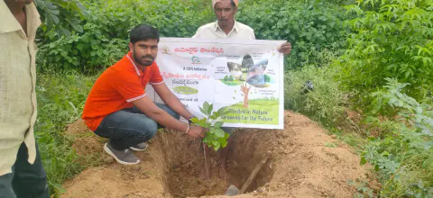 Tree Plantation 2024 – Lead Crop Science