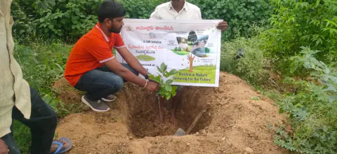 Tree Plantation 2024 – Lead Crop Science
