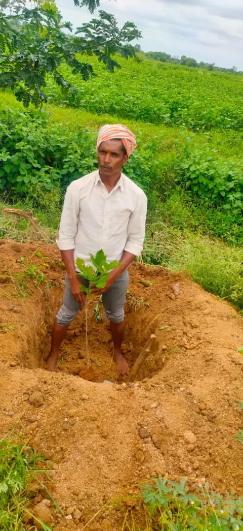 Tree Plantation 2024 – Lead Crop Science