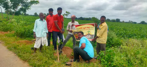 Tree Plantation 2024 – Lead Crop Science