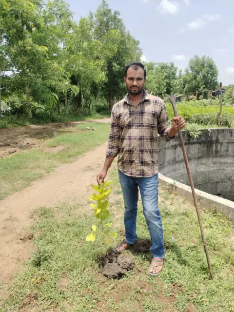 Tree Plantation 2024 – Lead Crop Science