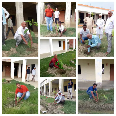 Tree Plantation 2024 – Lucknow