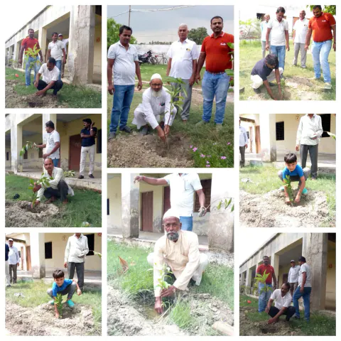 Tree Plantation 2024 – Lucknow