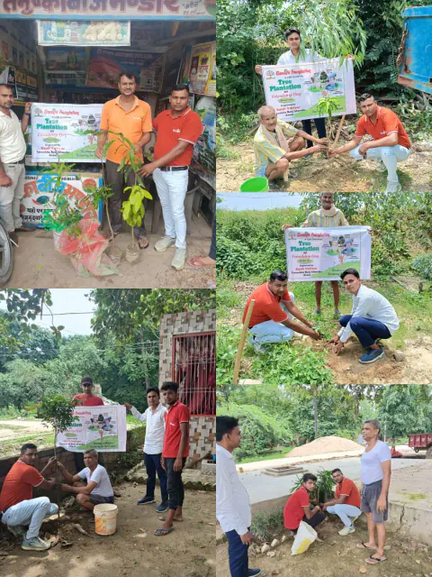 Tree Plantation 2024 – Lucknow