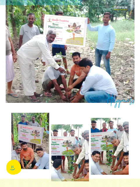 Tree Plantation 2024 – Lucknow