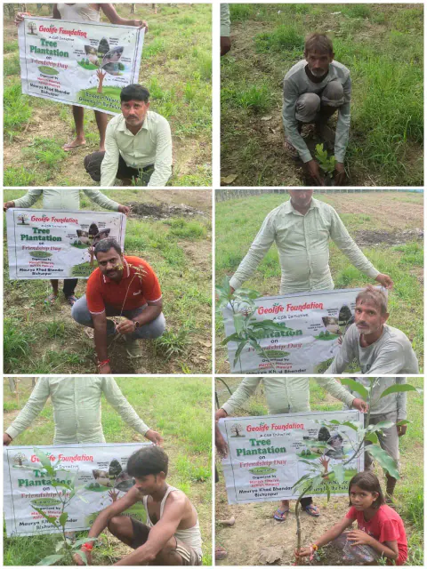 Tree Plantation 2024 – Lucknow