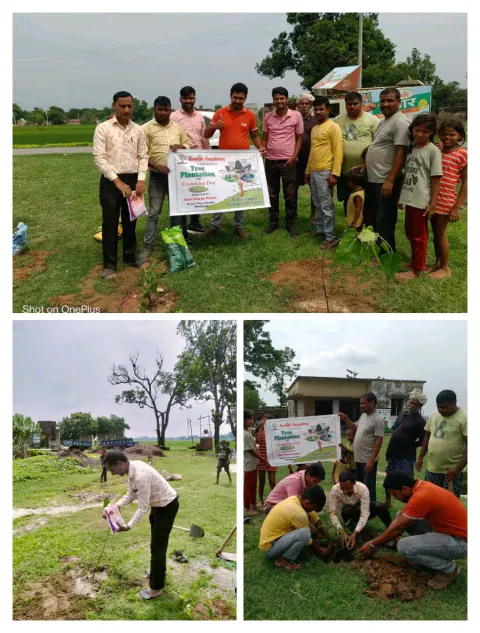 Tree Plantation 2024 – Lucknow