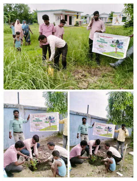 Tree Plantation 2024 – Lucknow