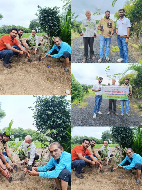 Tree Plantation 2024 – Madhya Pradesh