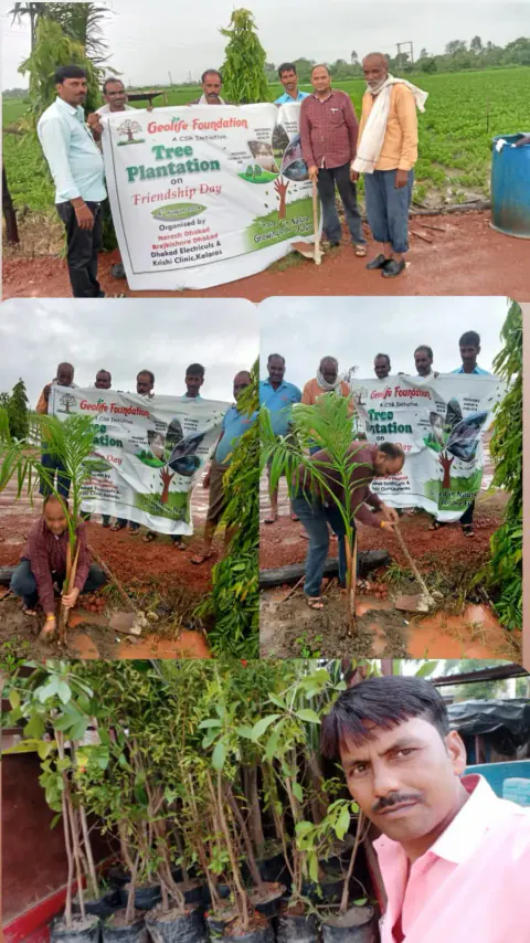Tree Plantation 2024 – Madhya Pradesh