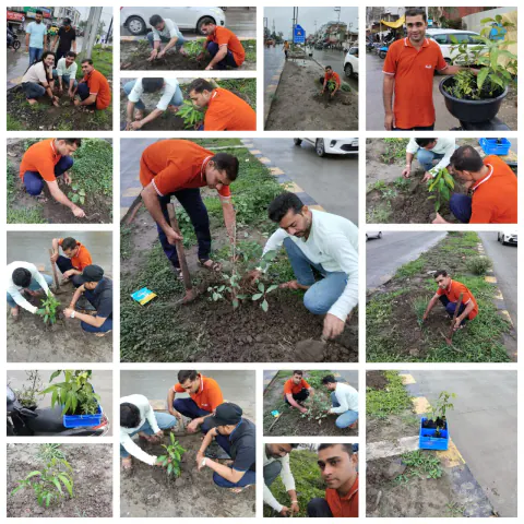Tree Plantation 2024 – Madhya Pradesh