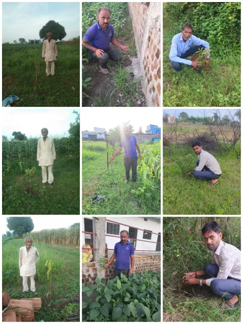 Tree Plantation 2024 – Madhya Pradesh