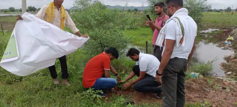 Tree Plantation 2024 – Maharashtra