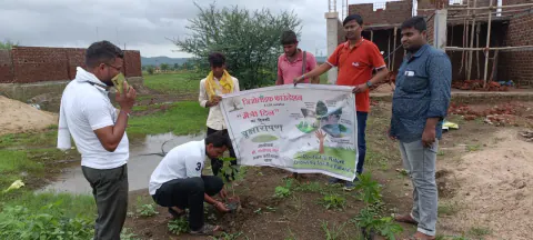 Tree Plantation 2024 – Maharashtra
