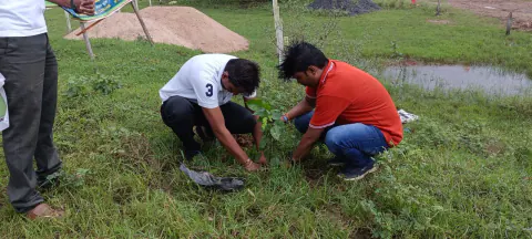 Tree Plantation 2024 – Maharashtra