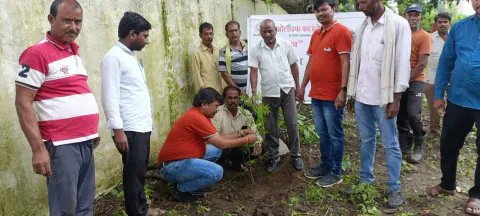 Tree Plantation 2024 – Maharashtra