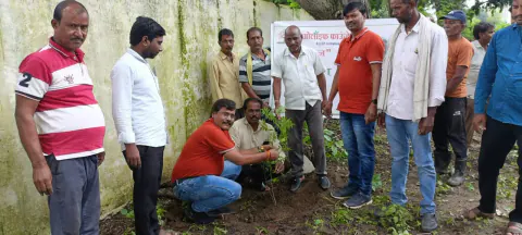 Tree Plantation 2024 – Maharashtra