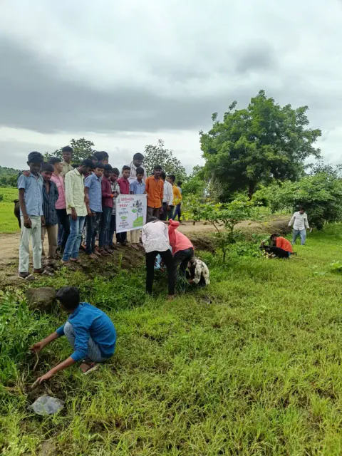 Tree Plantation 2024 – Maharashtra