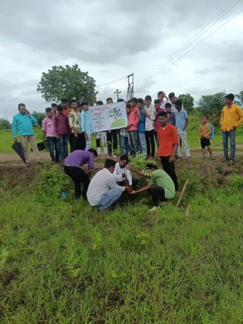Tree Plantation 2024 – Maharashtra