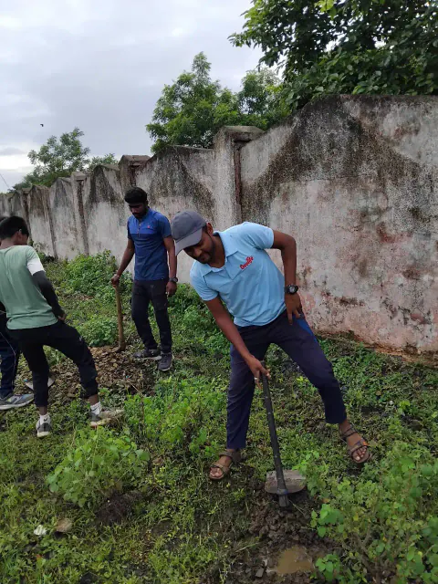 Tree Plantation 2024 – Maharashtra