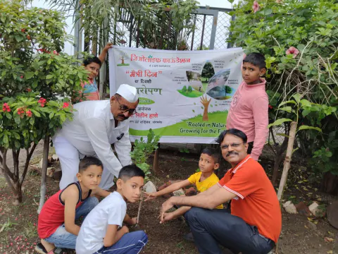 Tree Plantation 2024 – Maharashtra