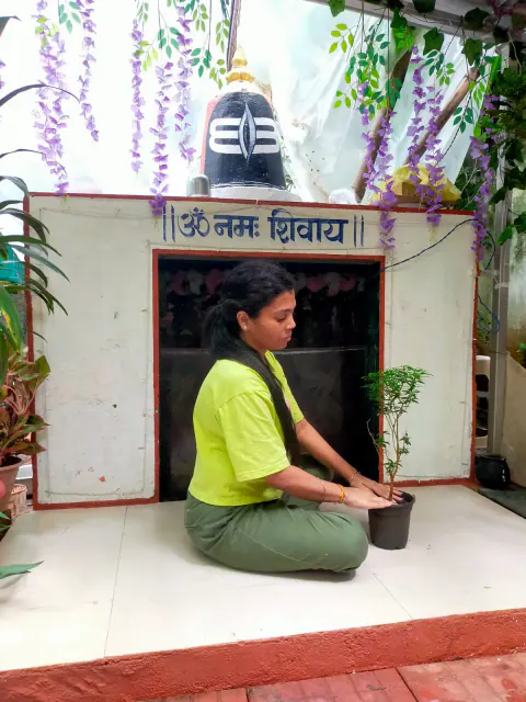 Tree Plantation 2024 – Mumbai – Head Office