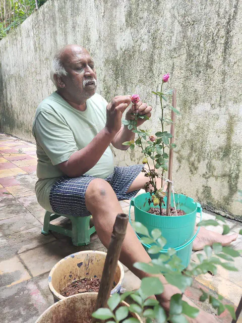Tree Plantation 2024 – Mumbai – Head Office