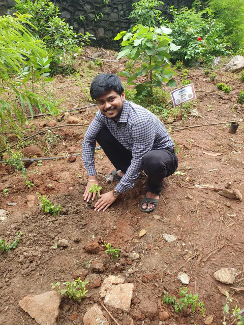 Tree Plantation 2024 – Mumbai – Head Office