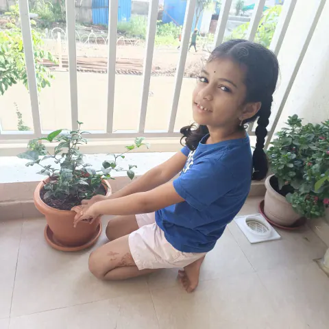 Tree Plantation 2024 – Mumbai – Head Office