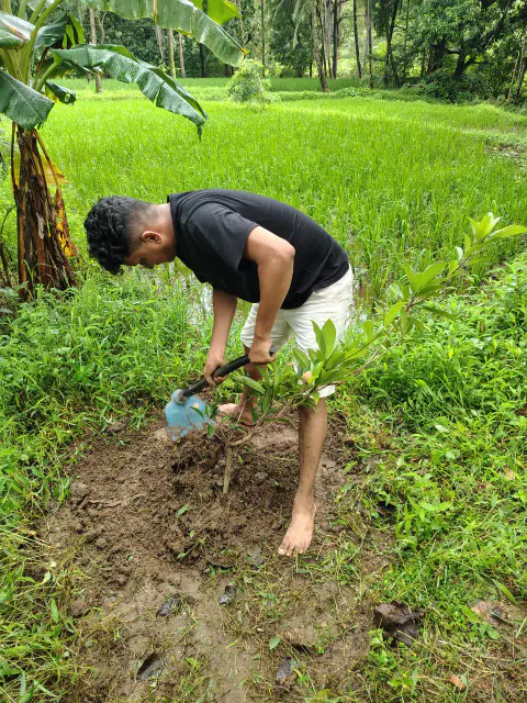 Tree Plantation 2024 – Mumbai – Head Office