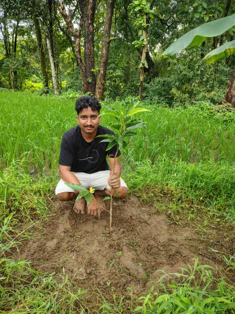 Tree Plantation 2024 – Mumbai – Head Office