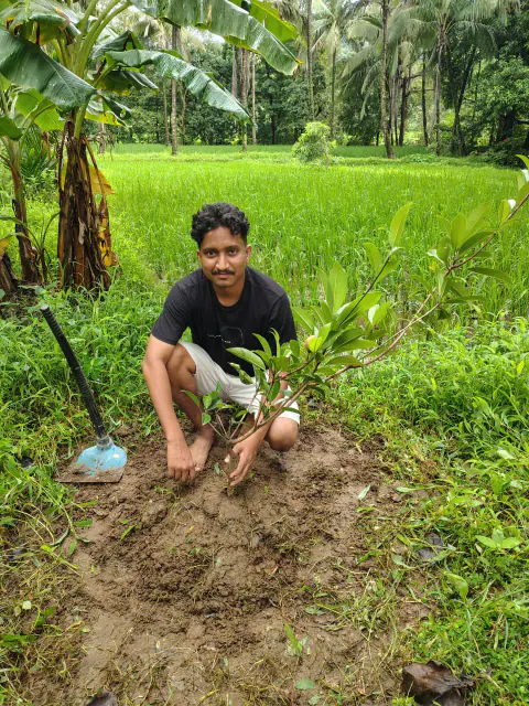 Tree Plantation 2024 – Mumbai – Head Office