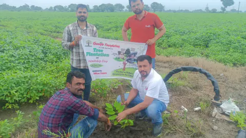 Tree Plantation 2024 – Research Farm